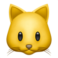 Cat Face ok 