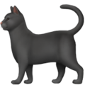 Black Cat ok 