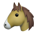 Horse Face ok 
