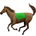 Horse ok 