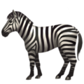 Zebra ok 