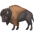 Bison ok 