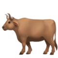 Ox ok 