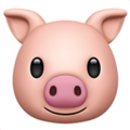 Pig Face ok 