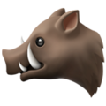 Boar ok 