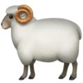 Ram ok 
