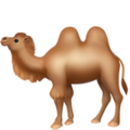 Two-Hump Camel ok 