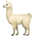 Llama ok 
