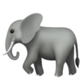 Elephant ok 