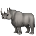 Rhinoceros ok 