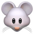 Mouse Face ok 