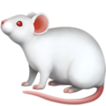 Mouse ok 