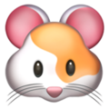 Hamster ok 