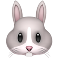 Rabbit Face ok 
