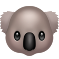 Koala ok 