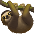 Sloth ok 