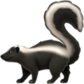 Skunk ok 
