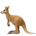 Kangaroo ok 