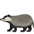 Badger ok 