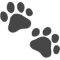 Paw Prints ok 