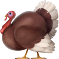 Turkey ok 