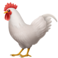 Rooster ok 