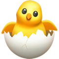 Hatching Chick ok 