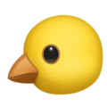 Baby Chick ok 