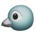 Bird ok 