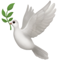 Dove ok 