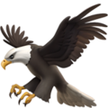 Eagle ok 