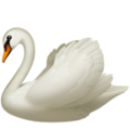Swan ok 