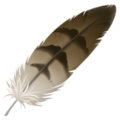 Feather ok 