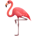 Flamingo ok 