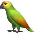 Parrot ok 