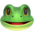 Frog ok 