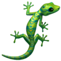 Lizard ok 