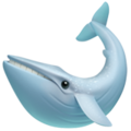 Whale ok 