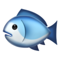 Fish ok 