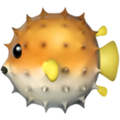 Blowfish ok 