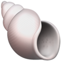 Spiral Shell ok 