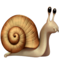 Snail ok 