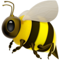 Honeybee ok 
