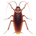 Cockroach ok 