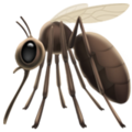 Mosquito ok 