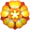 Rosette ok 