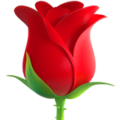 Rose ok 
