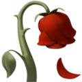 Wilted Flower ok 