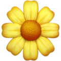 Blossom ok 