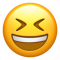 Grinning Squinting Face ok 